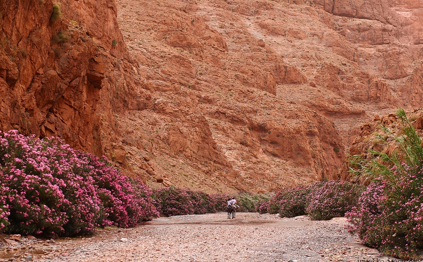 Rose Valley Trekking - 8 Days